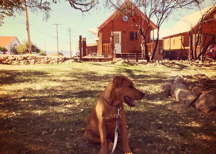 Katie's Cozy Inn 3*